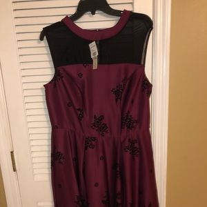 Ladies Cocktail Dress great for a weddings